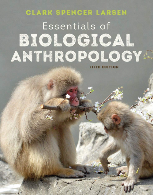 Essentials of Biological Anthropology Fifth Edition